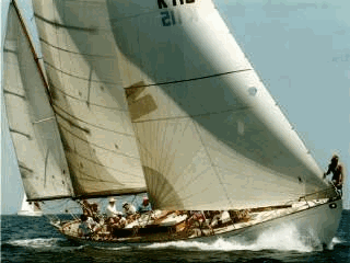 feel the wind
